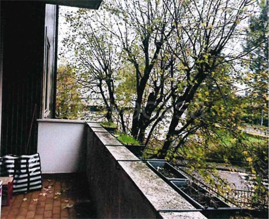 immagine annuncio 6 di 14