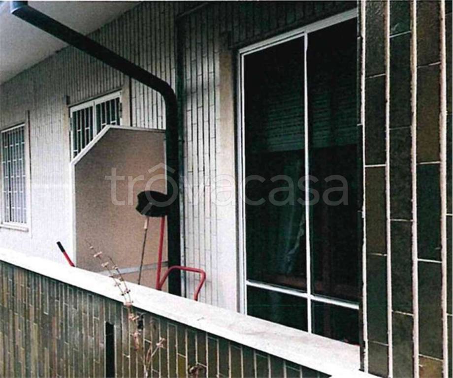 immagine annuncio 7 di 14