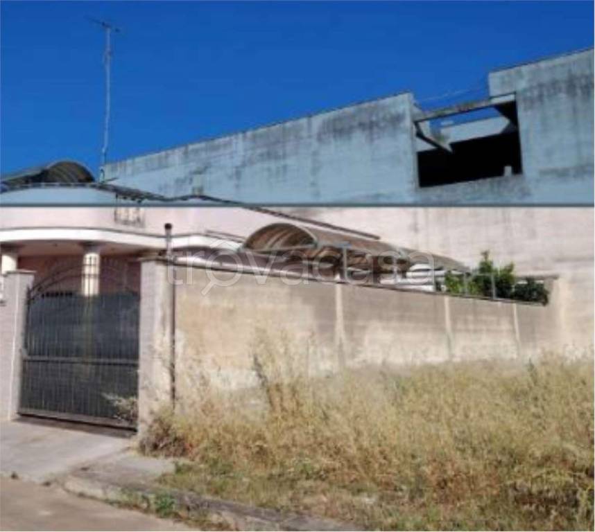 immagine annuncio 5 di 11