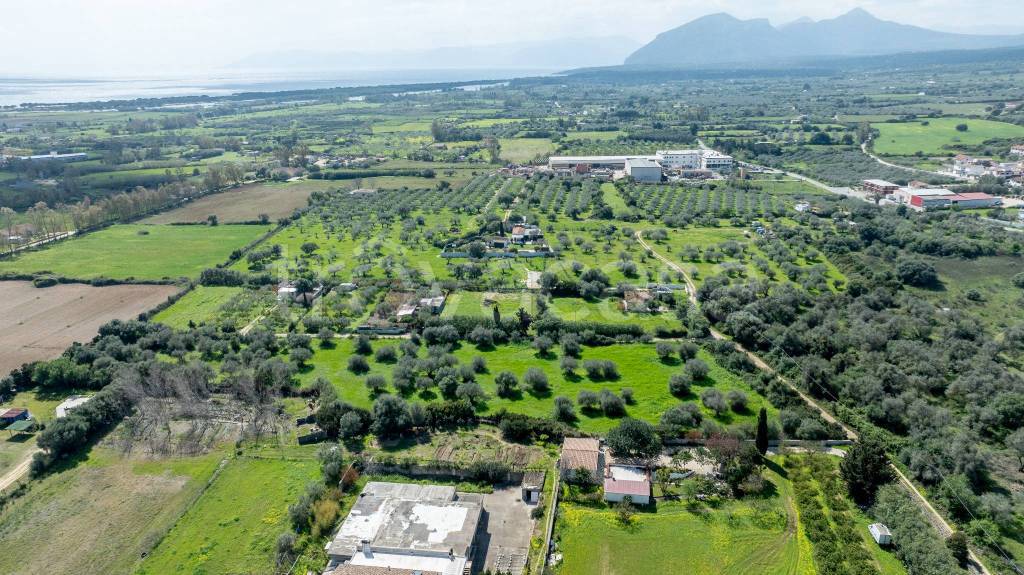 immagine annuncio 6 di 13