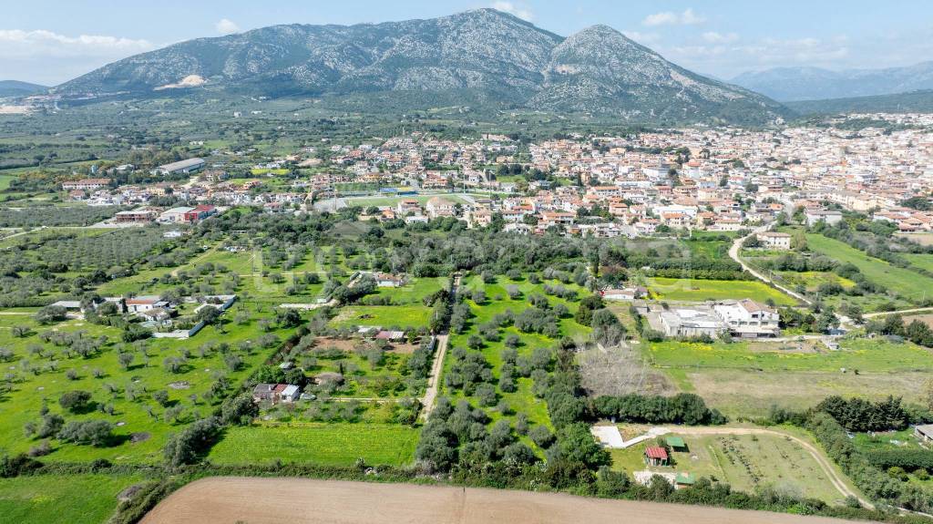 immagine annuncio 9 di 13