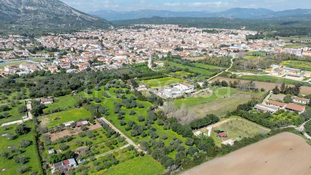 immagine annuncio 10 di 13