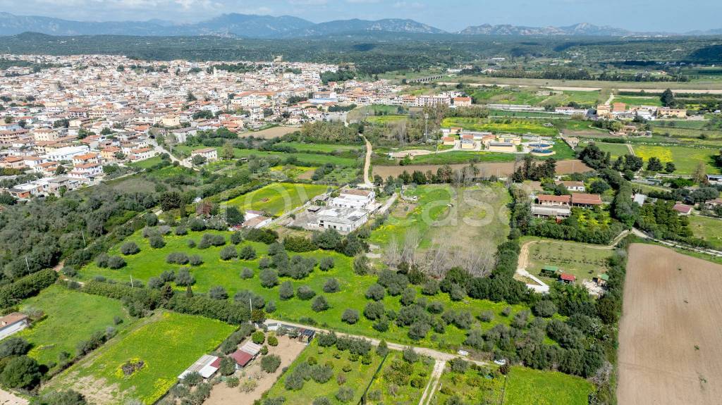 immagine annuncio 11 di 13