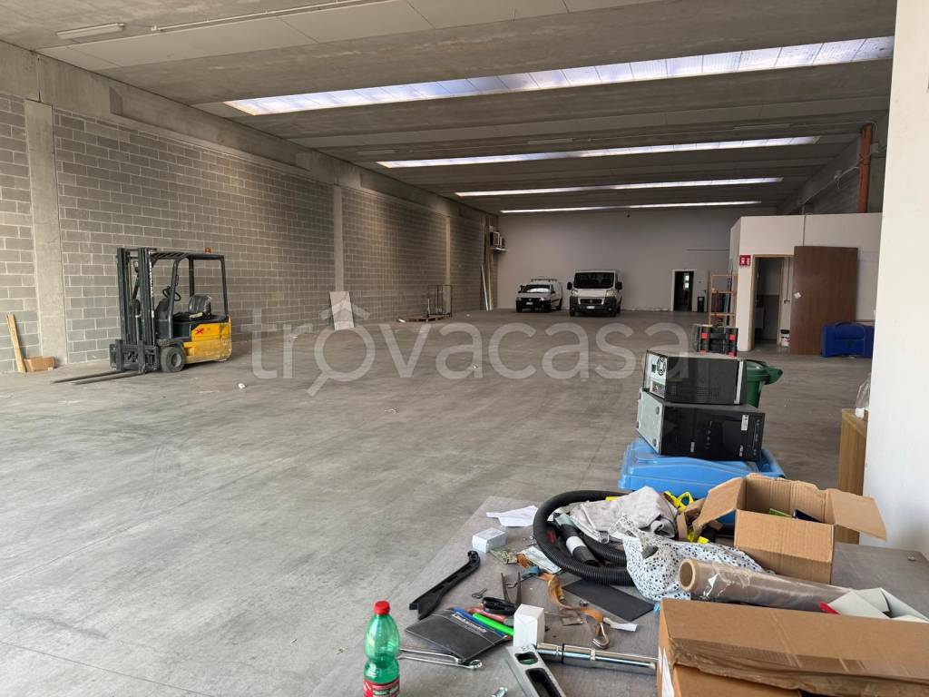 immagine annuncio 9 di 15