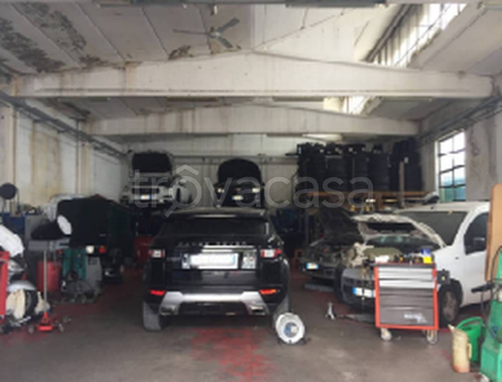 immagine annuncio 1 di 11