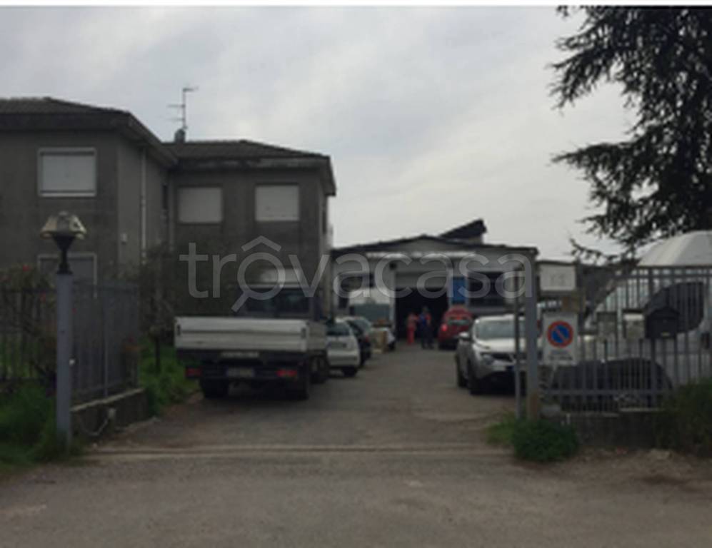 immagine annuncio 4 di 11