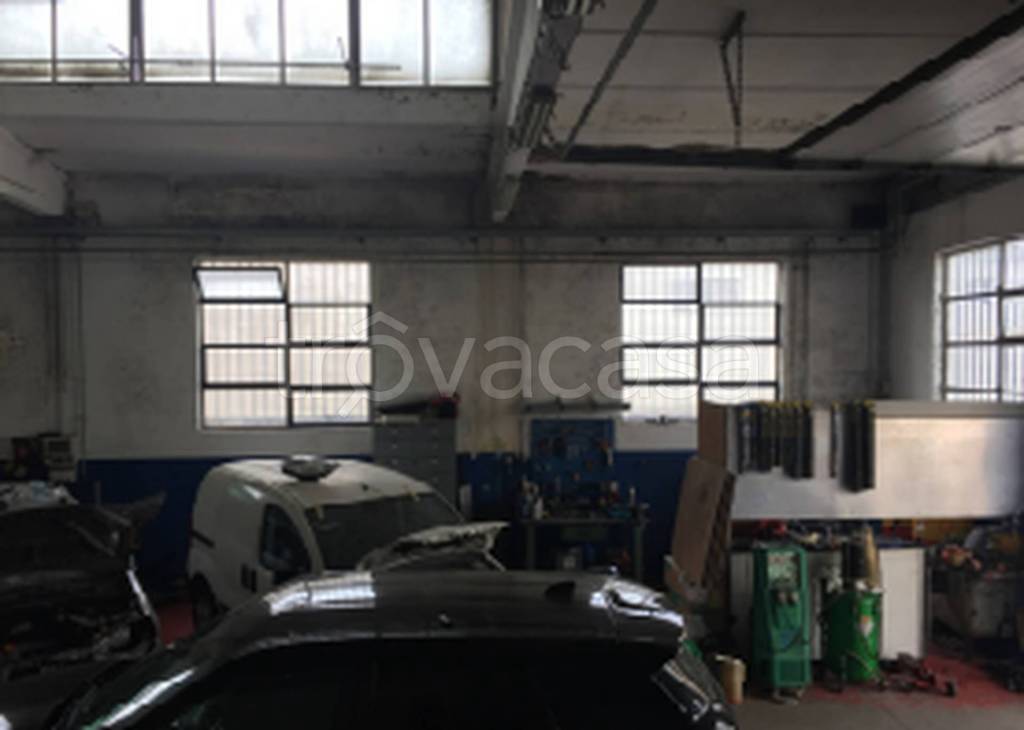 immagine annuncio 6 di 11