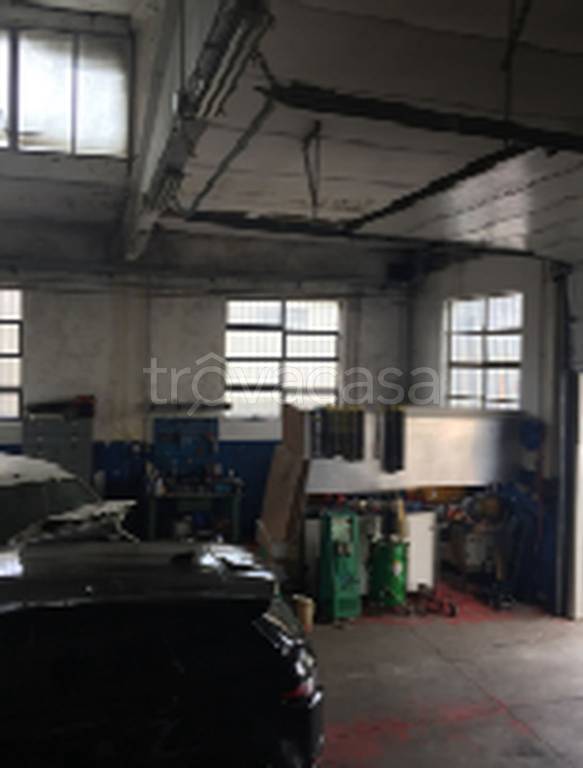 immagine annuncio 8 di 11