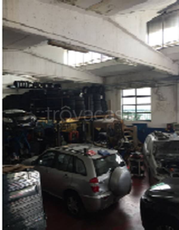 immagine annuncio 9 di 11