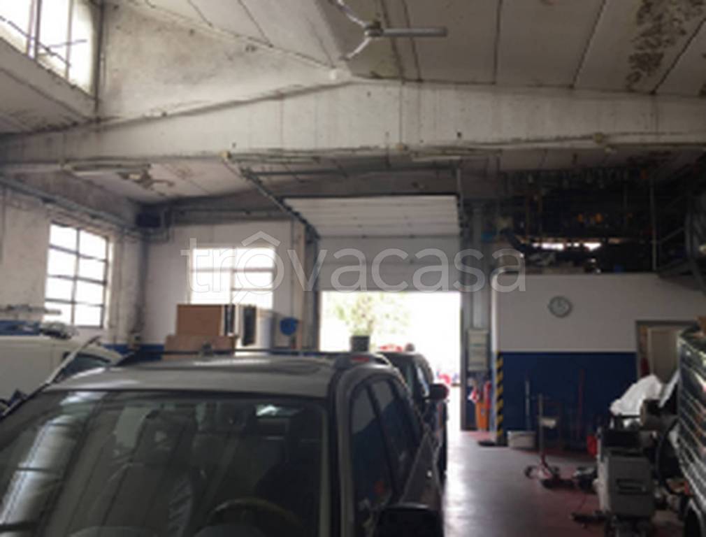 immagine annuncio 10 di 11