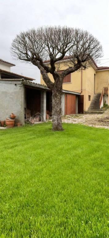 immagine annuncio 2 di 7