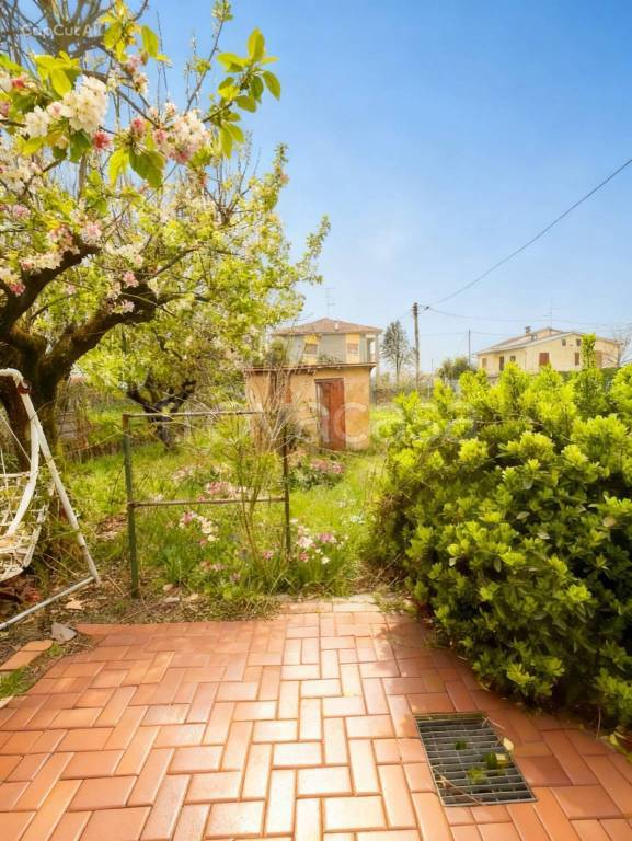 immagine annuncio 3 di 7