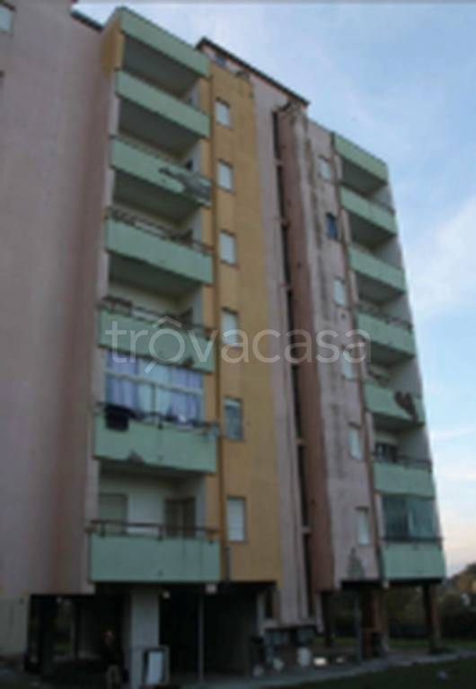 immagine annuncio 2 di 11