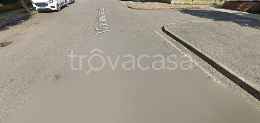 immagine annuncio 3 di 12