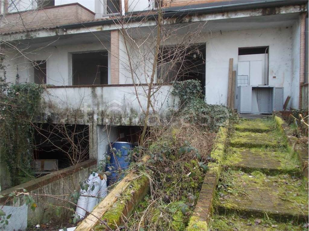 immagine annuncio 2 di 14