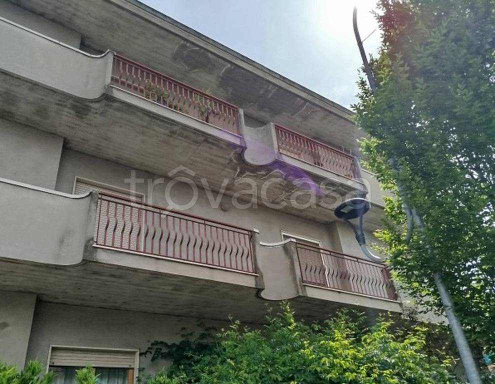 immagine annuncio 5 di 11