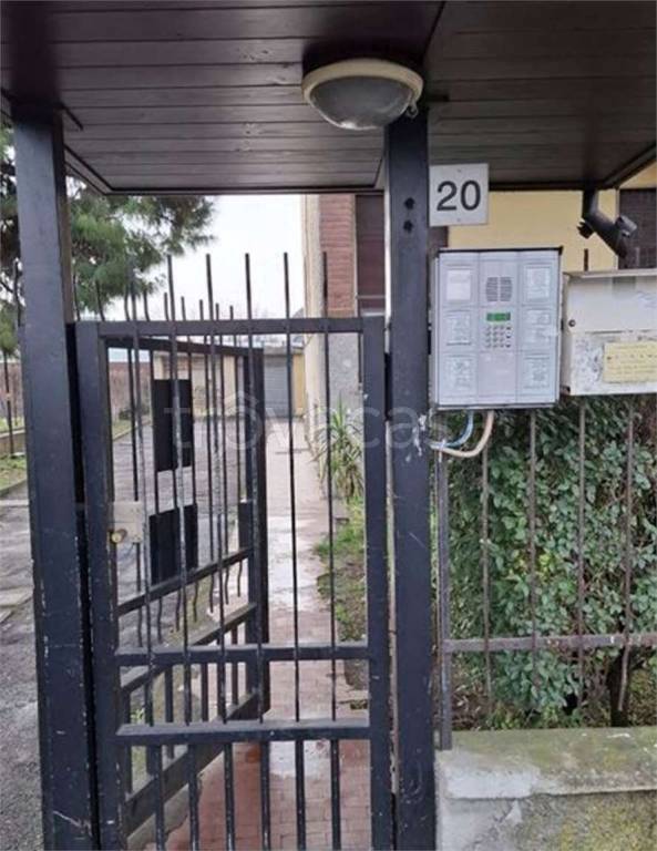 immagine annuncio 1 di 13