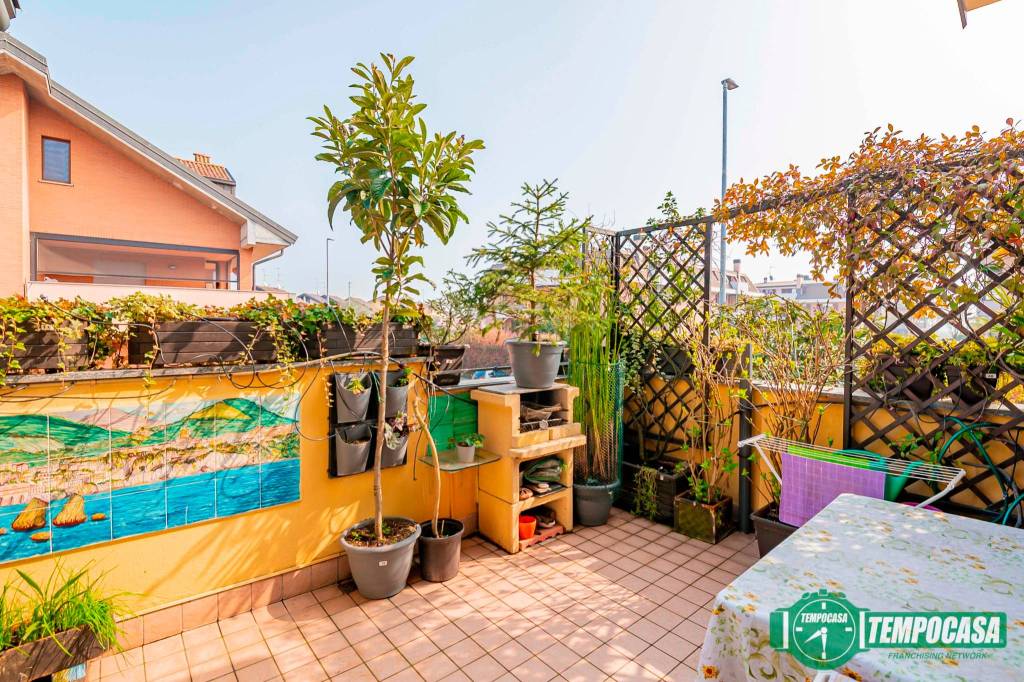 immagine annuncio 12 di 15