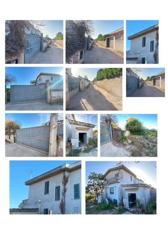 immagine annuncio 6 di 14