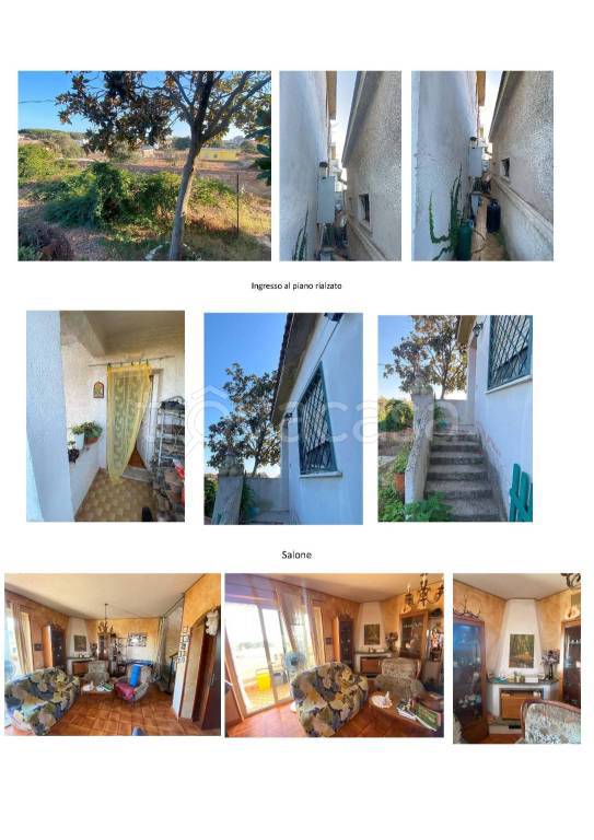 immagine annuncio 7 di 14