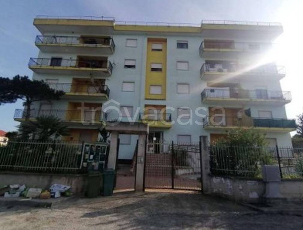 immagine annuncio 5 di 12