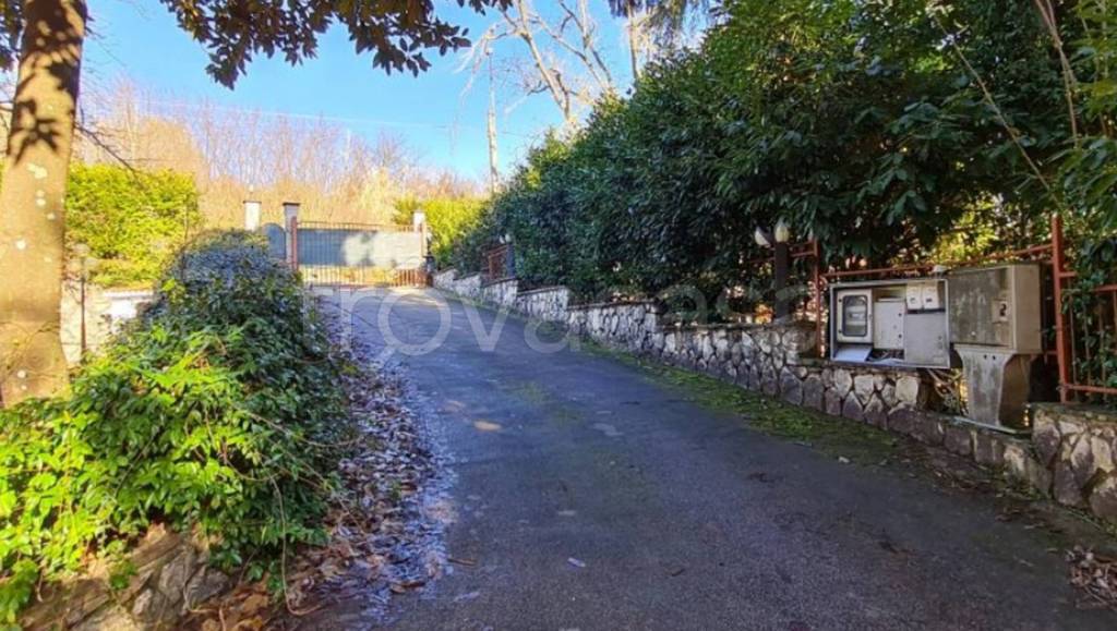 immagine annuncio 8 di 12