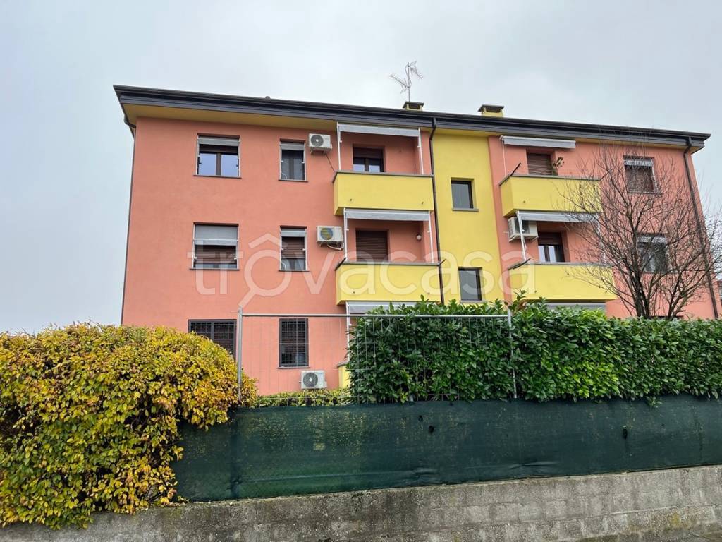 immagine annuncio 8 di 11