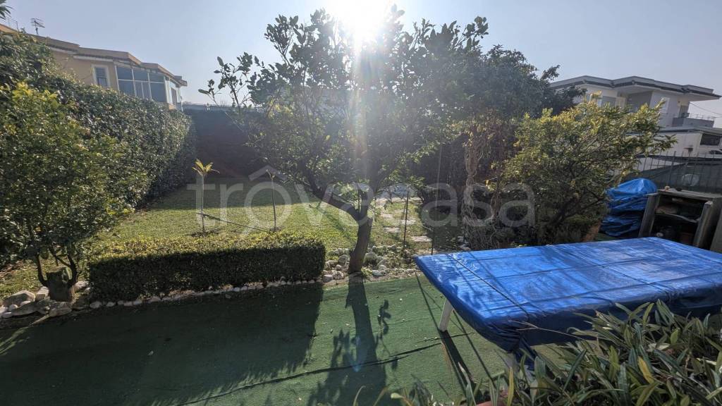 immagine annuncio 9 di 10