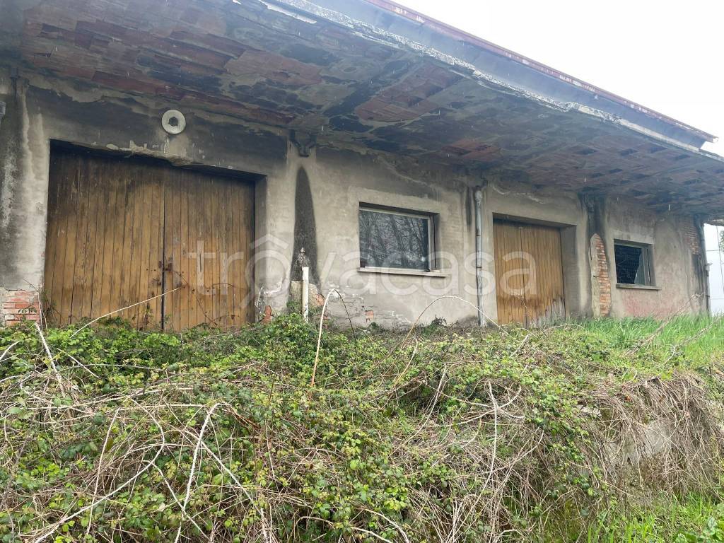 immagine annuncio 4 di 7