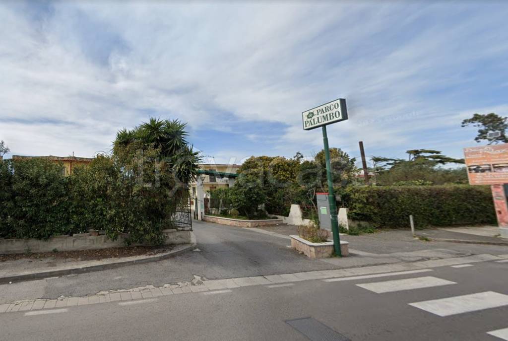 immagine annuncio 4 di 14