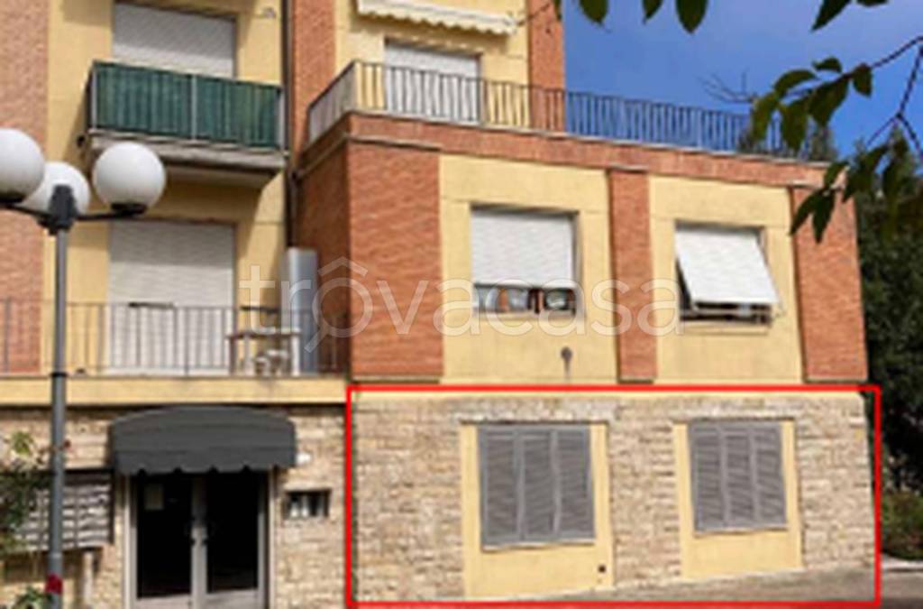 immagine annuncio 9 di 11