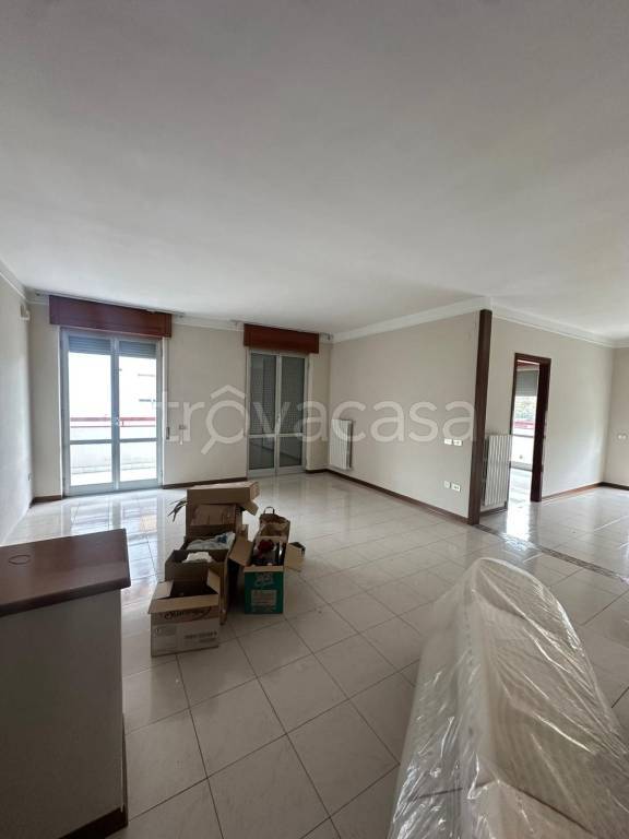 immagine annuncio 5 di 14