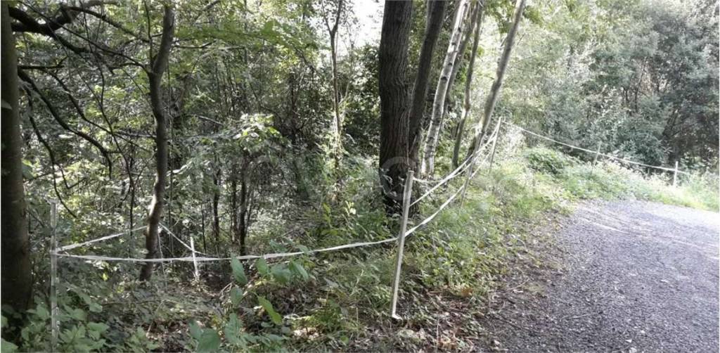 immagine annuncio 2 di 9