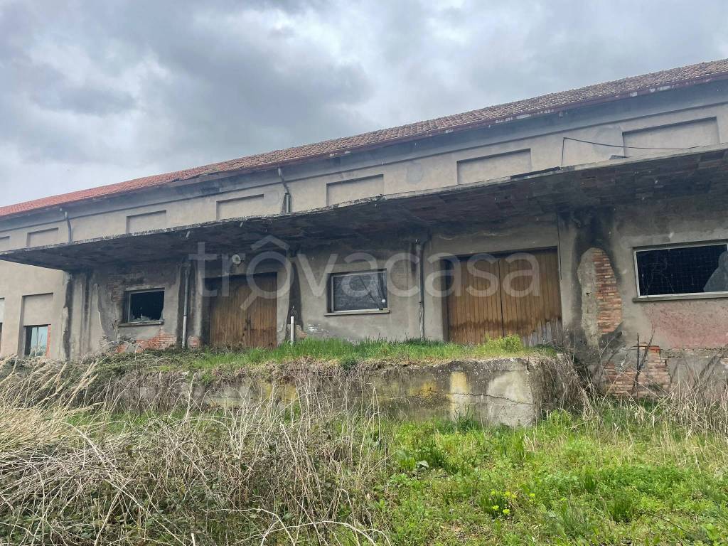 immagine annuncio 2 di 7