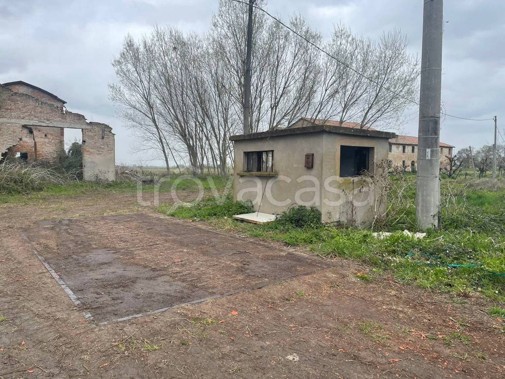 immagine annuncio 5 di 7