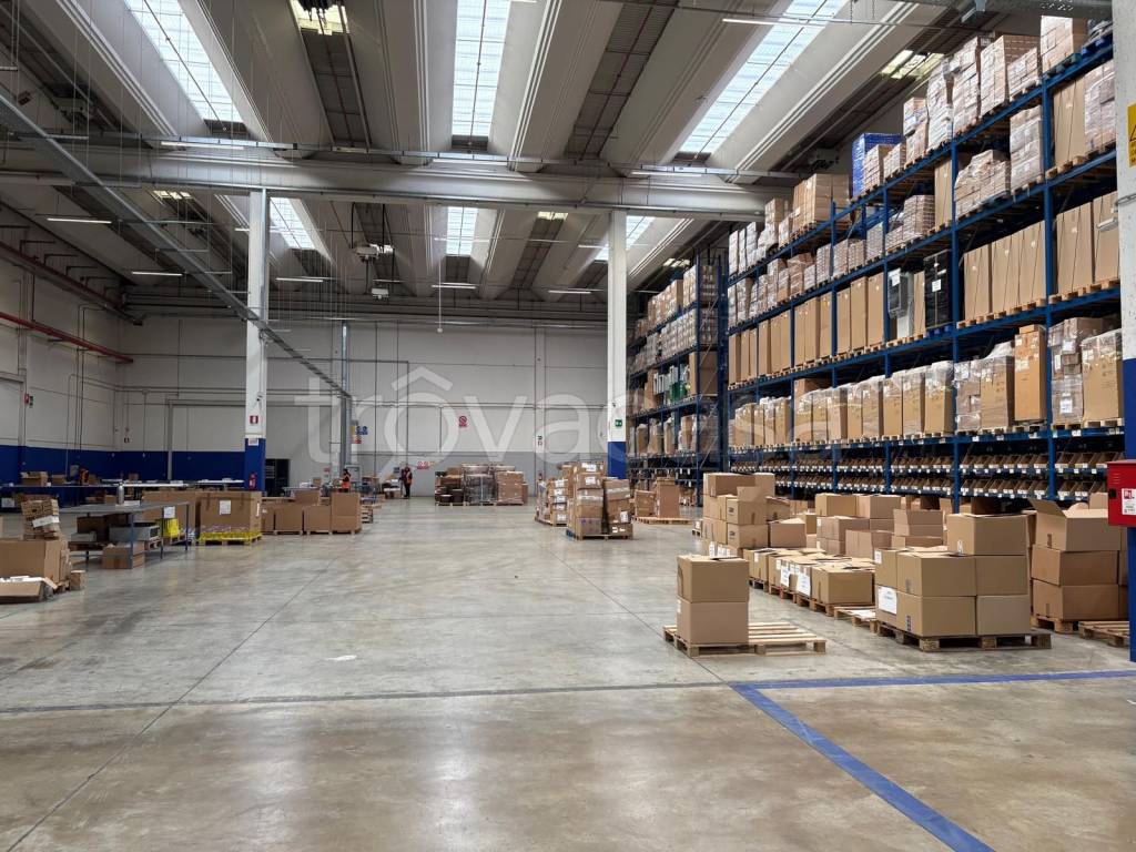 immagine annuncio 2 di 11