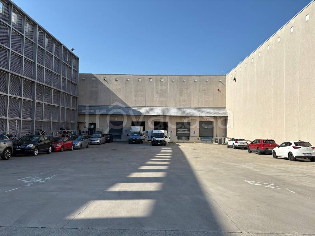 immagine annuncio 9 di 11