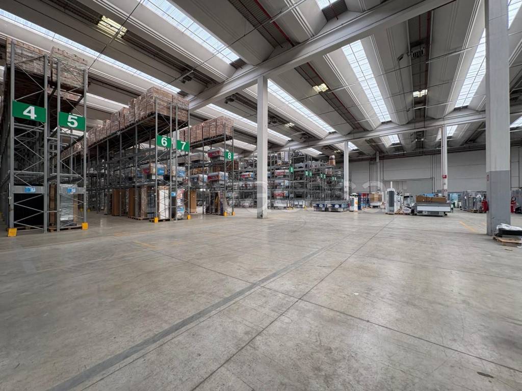 immagine annuncio 4 di 11