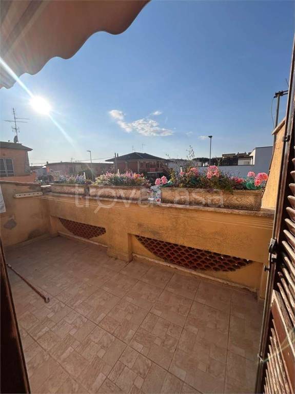 immagine annuncio 10 di 14