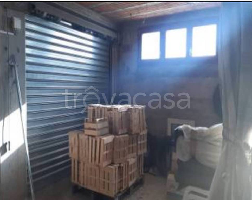 immagine annuncio 11 di 12