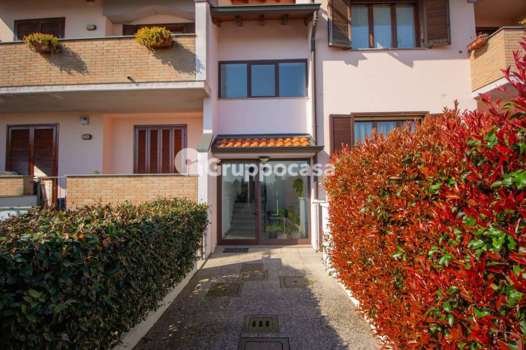 immagine annuncio 1 di 15