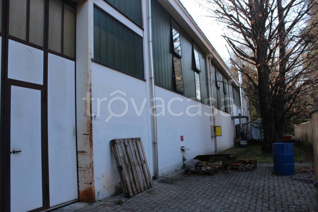 immagine annuncio 6 di 13