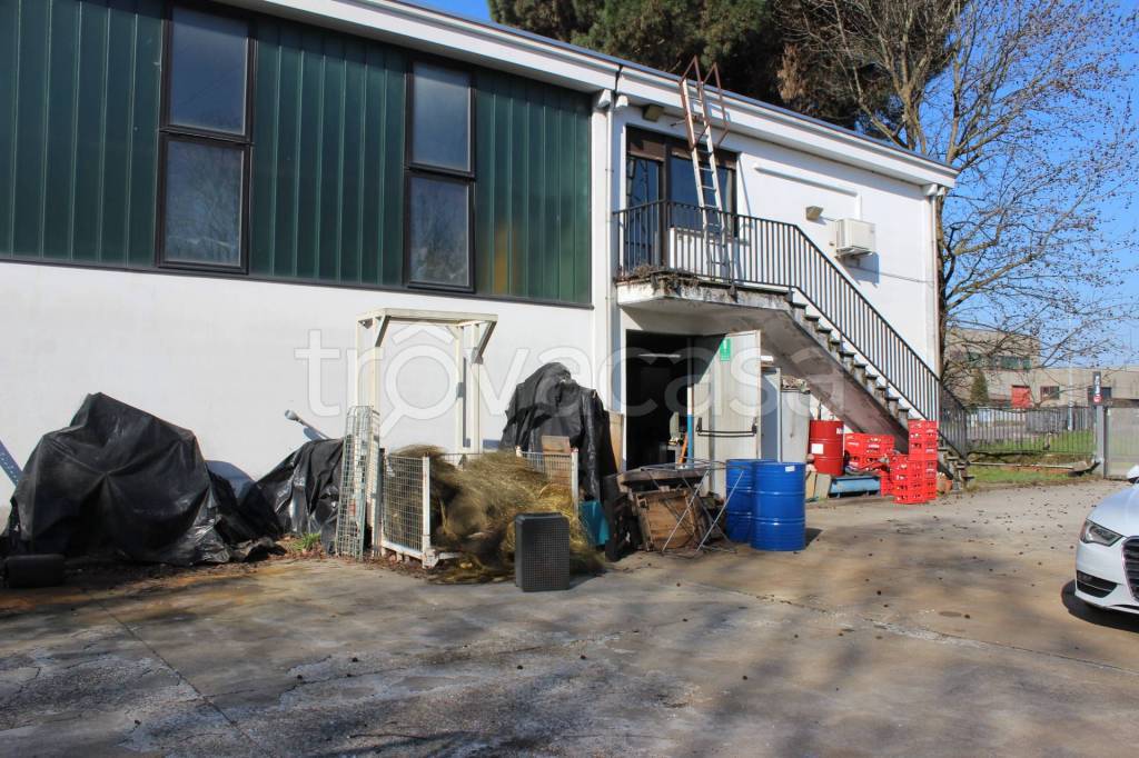 immagine annuncio 8 di 13