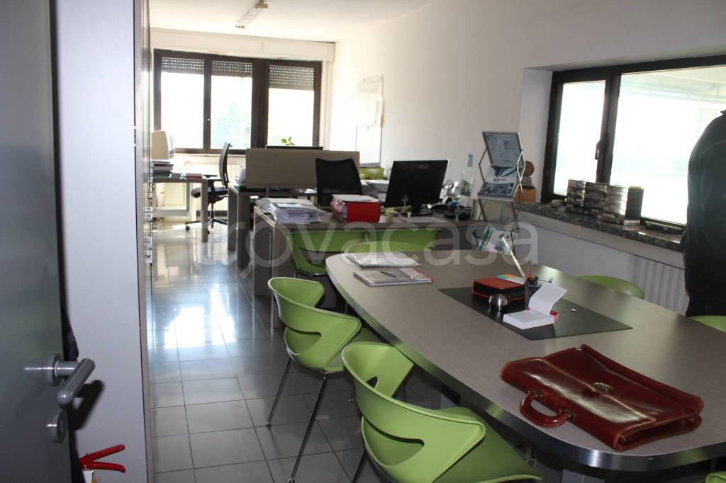 immagine annuncio 9 di 13