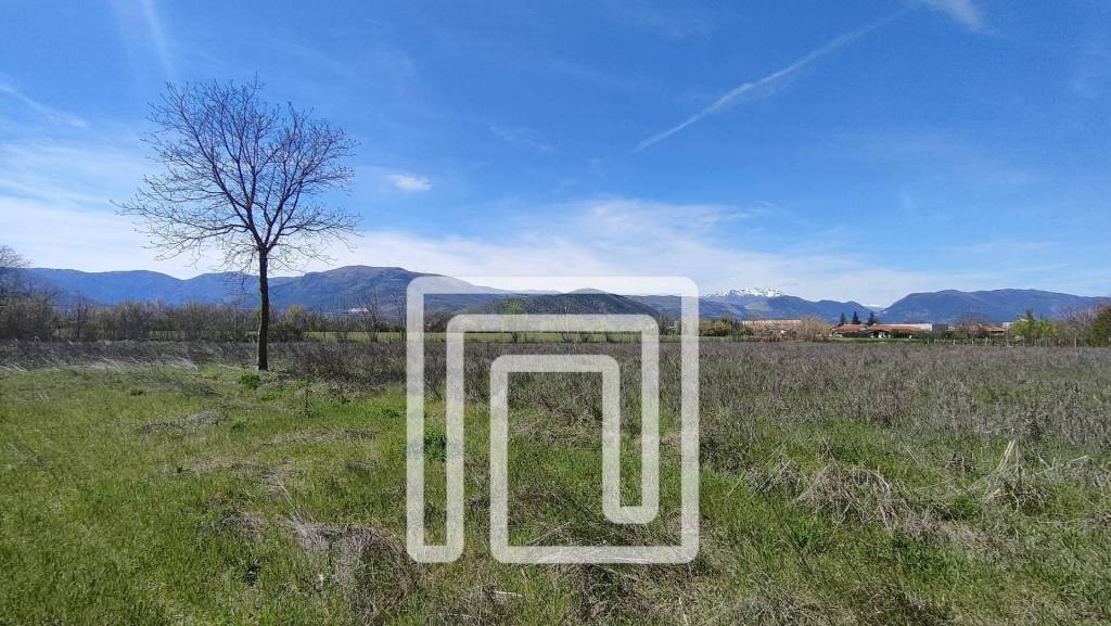 immagine annuncio 1 di 6