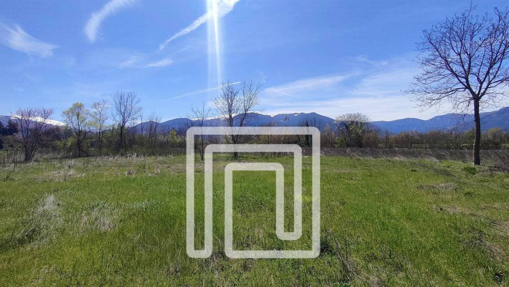 immagine annuncio 2 di 6