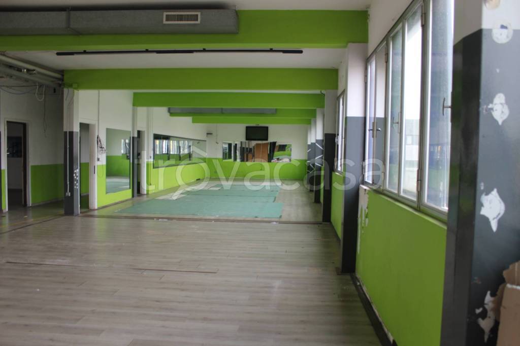 immagine annuncio 2 di 8