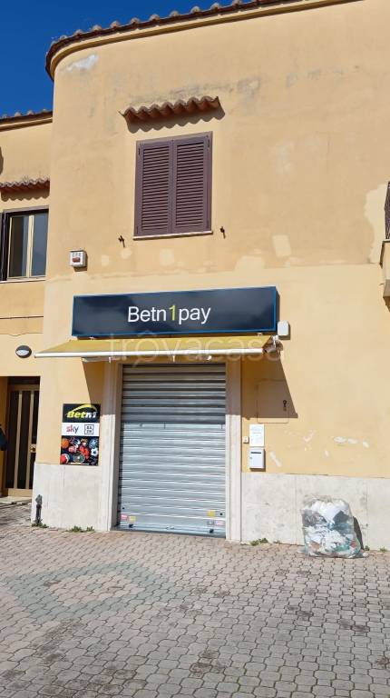 immagine annuncio 5 di 6