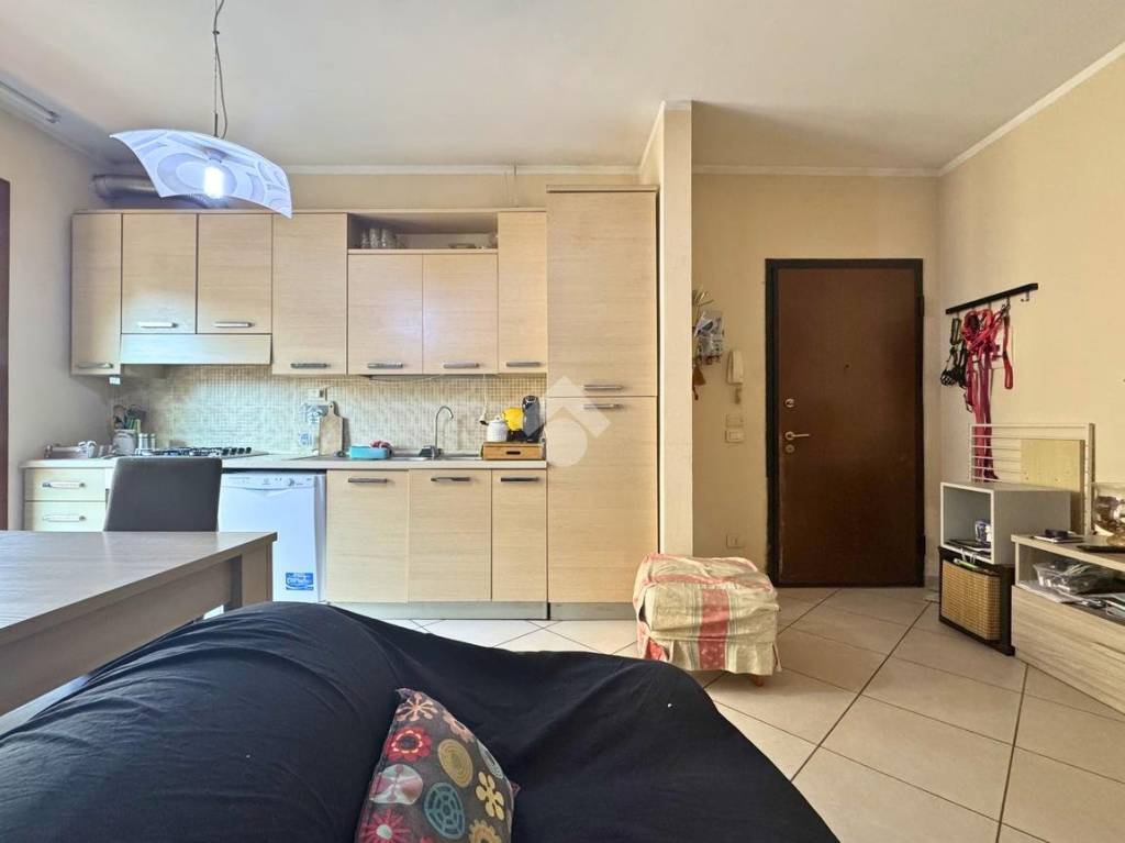 immagine annuncio 6 di 12