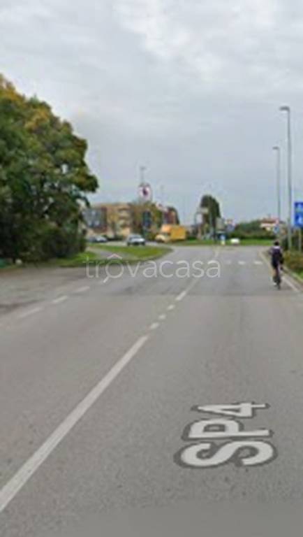 immagine annuncio 5 di 11